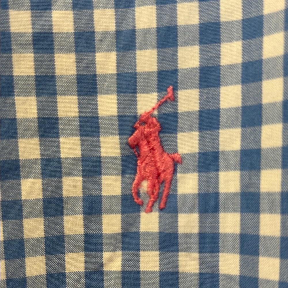 Polo Ralph Lauren Blue and White Checkered Shirt - Picture 3 of 4